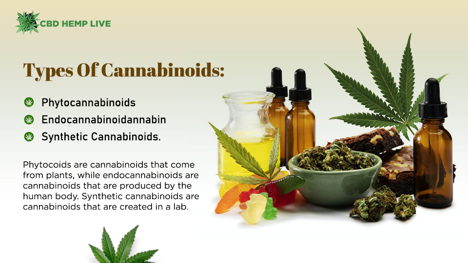Types of Cannabinoids