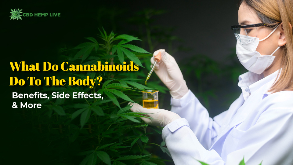 What Do Cannabinoids Do to The Body