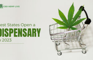 Best States to Open a Dispensary